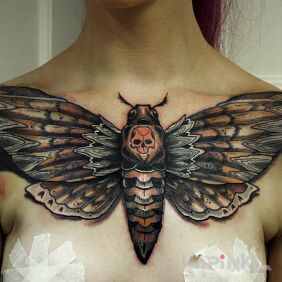 Tattoo Cicada on the chest motif: animals