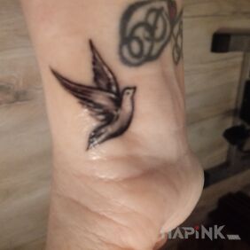Tattoo Dove on the wrist motif: black and gray style: graphic / illustrative