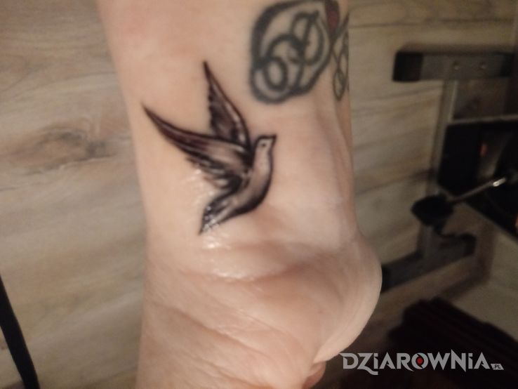 Tatuaż gołąbek w motywie santa muerte i stylu graficzne / ilustracyjne na nadgarstku