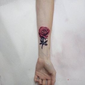 Tatuaż Róża (cover napisu) na przedramieniu motyw: kwiaty styl: realistyczne