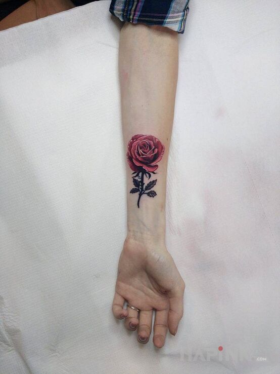 Tattoo Róża (cover napisu) in colorful motif and realistic style on the forearm