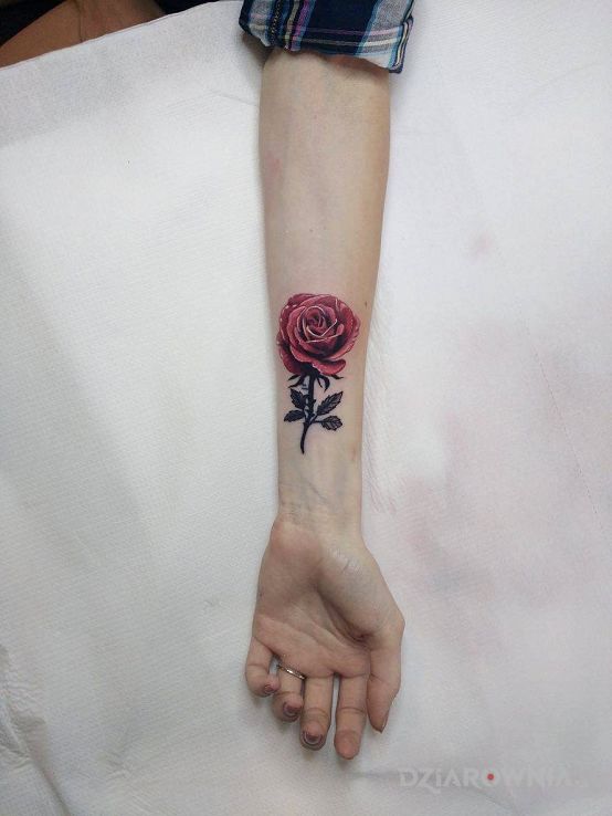 Tatuaż róża cover napisu w motywie kwiaty i stylu realistyczne na przedramieniu