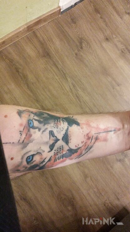 Tattoo Lew in animals motif and Watercolor style on the forearm
