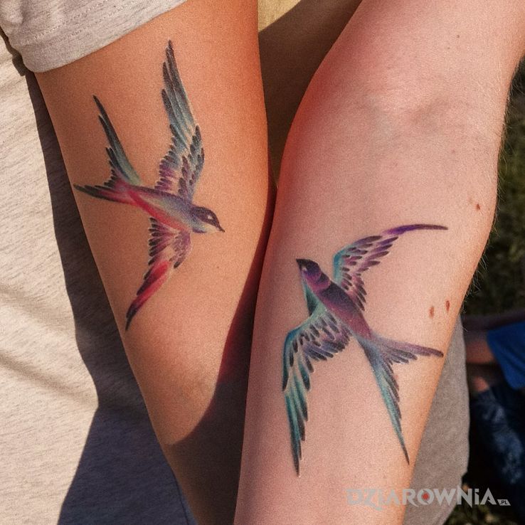Tatuaż ptaszyny w motywie kolorowe i stylu graficzne / ilustracyjne na przedramieniu