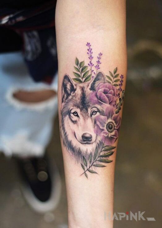Tattoo Wilk z fioletem in colorful motif and realistic style on the forearm