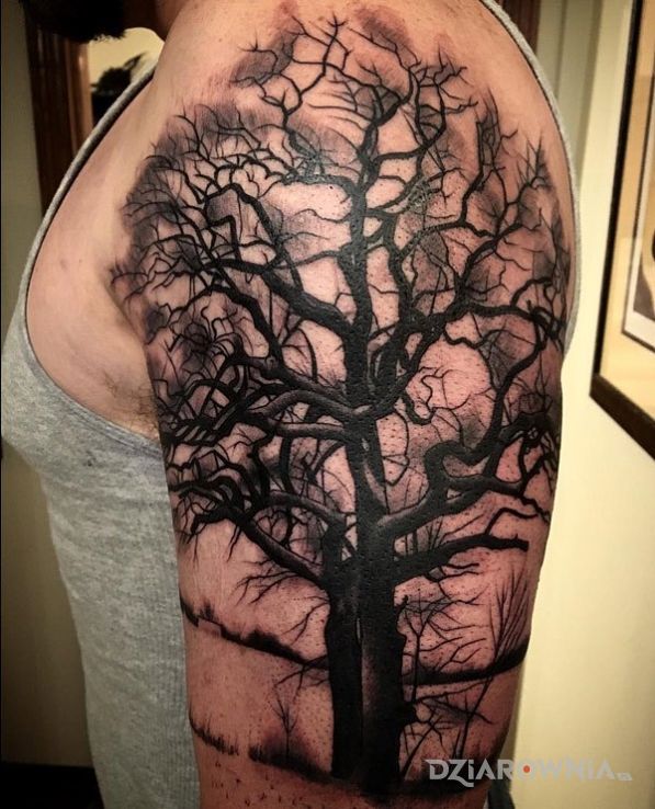Tatuaż drzewo w motywie pozostałe na ramieniu