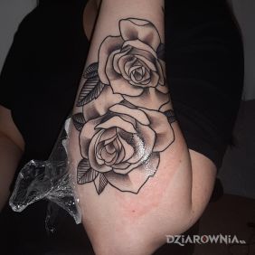 Tatuaż Róże na przedramieniu motyw: czarno-szare styl: graficzne / ilustracyjne