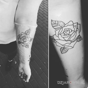 Tatuaż Druga róża na przedramieniu motyw: kwiaty styl: kontury / linework