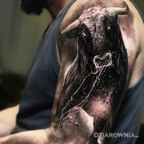 Tatuaż Byku na ramieniu motyw: znaki zodiaku styl: realistyczne