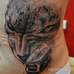 Tatuaż Kot na brzuchu motyw: zwierzęta