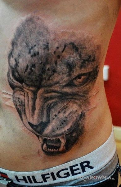 Tatuaż kot w motywie zwierzęta na brzuchu