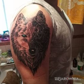 Tatuaż Wilk na ramieniu motyw: zwierzęta