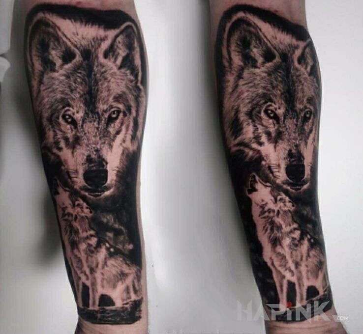 Tattoo Wilczek in animals motif and realistic style on the forearm