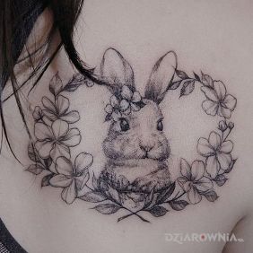 Tatuaż Królik na łopatkach motyw: zwierzęta
