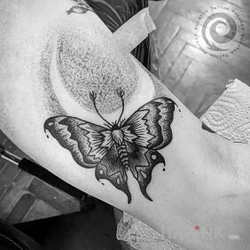 Tattoo Moth on the upper arm motif: butterflies style: dotwork