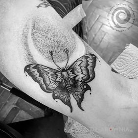 Tatuaż Ćma na ramieniu motyw: motyle styl: dotwork