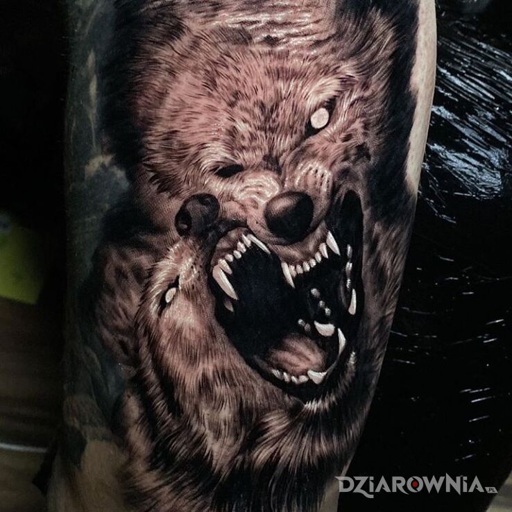 Tatuaż Wilki w motywie 3D i stylu realistyczne na ramieniu