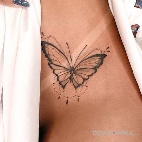 Tatuaż Czarny motyl w miejscu intymnym motyw: motyle styl: graficzne / ilustracyjne