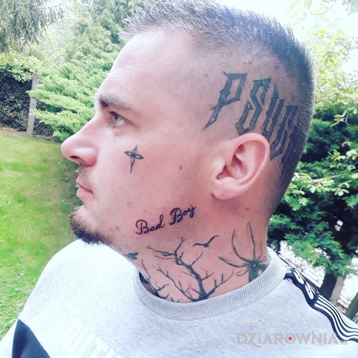 Tatuaż fizol w motywie napisy na głowie