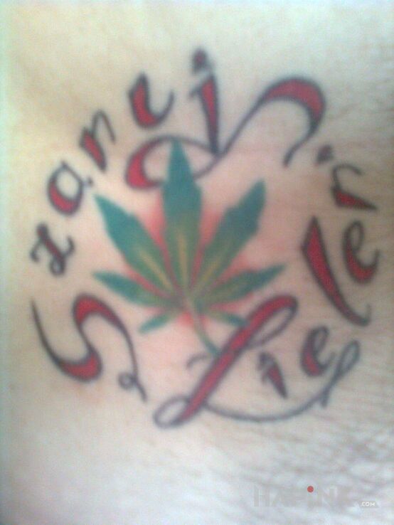 Tattoo Szanuj zieleń in colorful motif on the stomach