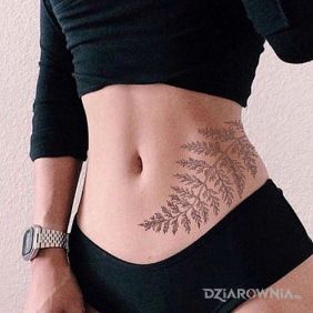 Tatuaż Liść na boku na brzuchu motyw: czarno-szare styl: realistyczne