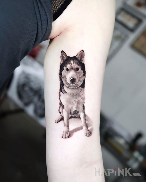 Tattoo Husky in colorful motif and realistic style on the upper arm