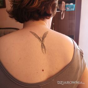 Tatuaż Feniks na plecach motyw: pozostałe styl: graficzne / ilustracyjne