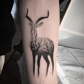 Tattoo Gazelle on the forearm motif: animals