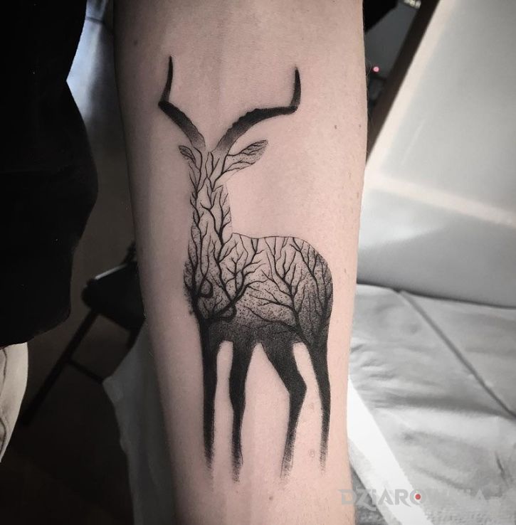 Tatuaż gazela w motywie zwierzęta na przedramieniu