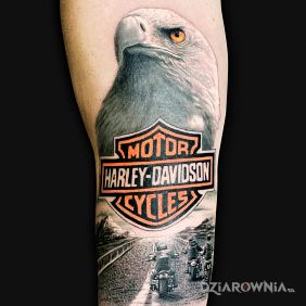 Tatuaż HARLEY DAVIDSON na przedramieniu motyw: 3D styl: realistyczne