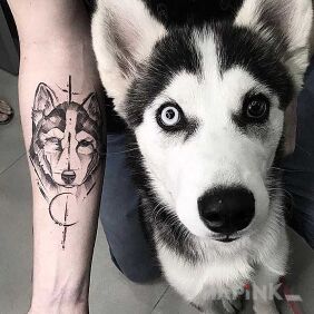 Tattoo Husky on the forearm motif: animals style: graphic / illustrative