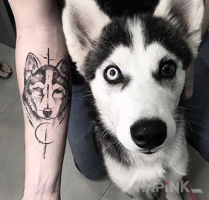 Tattoo Husky in animals motif and graphic / illustrative style on the forearm