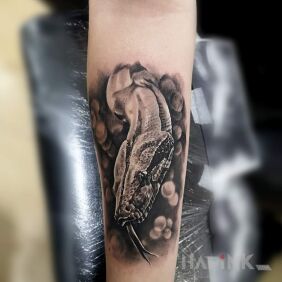Tattoo Snakemoon on the forearm motif: 3D style: realistic