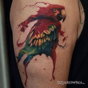 Tatuaż Papuga na ramieniu motyw: zwierzęta