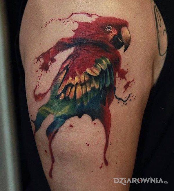 Tatuaż papuga w motywie zwierzęta na ramieniu