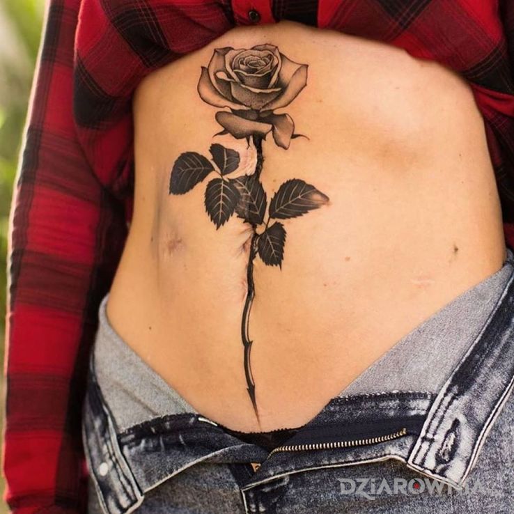 Tatuaż róża zakrywająca bliznę w motywie czarno-szare i stylu realistyczne na brzuchu