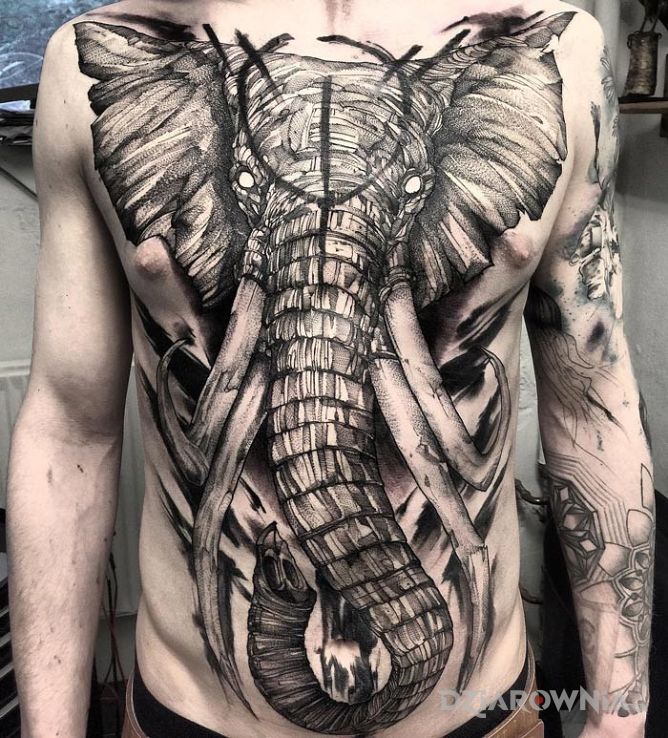 Tatuaż monumentalny słoń w motywie zwierzęta na brzuchu