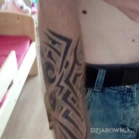 Tatuaż Tribal na przedramieniu styl: tribale