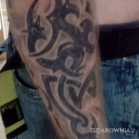 Tatuaż Tribal na przedramieniu styl: tribale