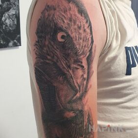 Tattoo Eagle on the upper arm motif: animals style: realistic