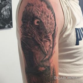 Tatuaż Orzeł na ramieniu motyw: zwierzęta styl: realistyczne