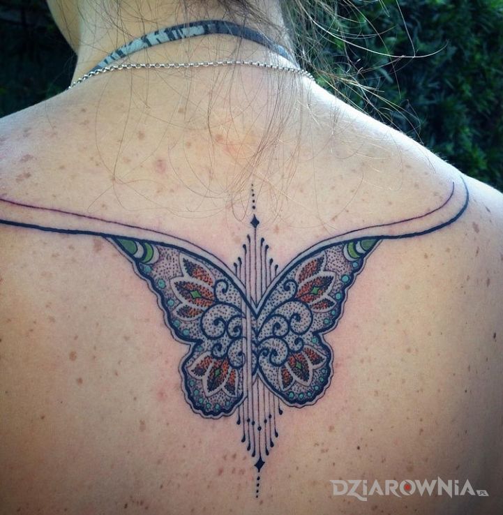 Tatuaż motyl w motywie zwierzęta na plecach