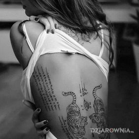 Tatuaż Tajskie tygrysy na plecach motyw: zwierzęta styl: graficzne / ilustracyjne