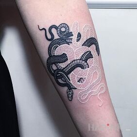 Tattoo Two hoses on the forearm motif: black and gray style: white ink