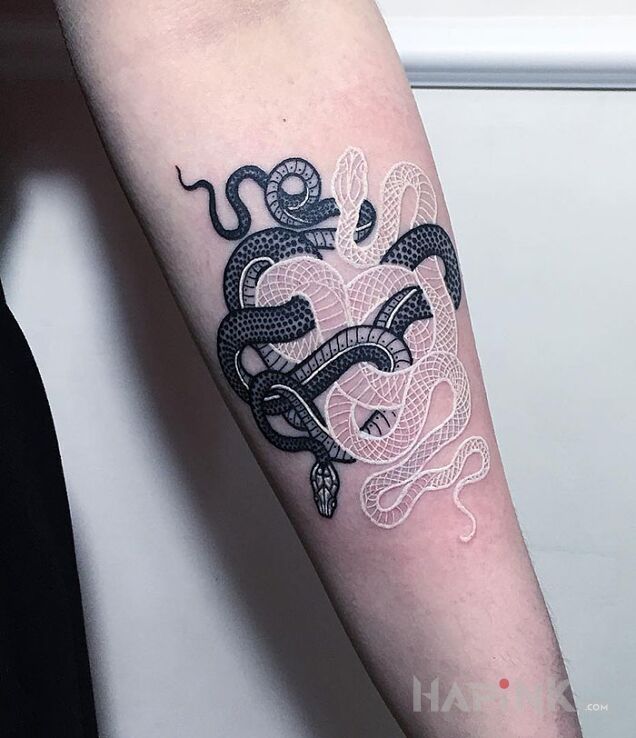 Tattoo Dwa węże in black and gray motif and white ink style on the forearm