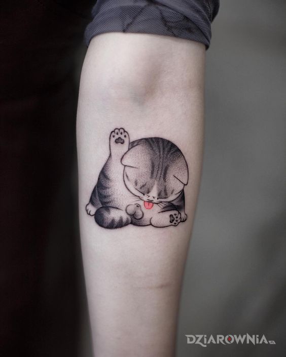 Tatuaż kotecek w motywie czarno-szare i stylu graficzne / ilustracyjne na przedramieniu