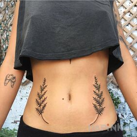 Tattoo Two delicate twigs on the stomach motif: other