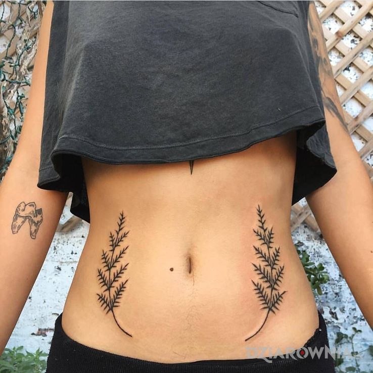 Tatuaż dwie delikatne gałązki w motywie pozostałe na brzuchu
