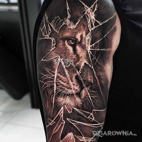 Tatuaż Nostalgiczny lew na ramieniu motyw: kolorowe styl: realistyczne