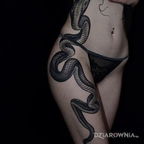 Tatuaż Kobra na nodze motyw: zwierzęta styl: realistyczne